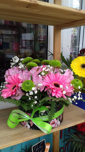 Opinii despre Agroprestservice în Suceava - Gastronomie și ospitalitate