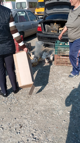 Opinii despre Mercado în Târgu Jiu - Gastronomie și ospitalitate