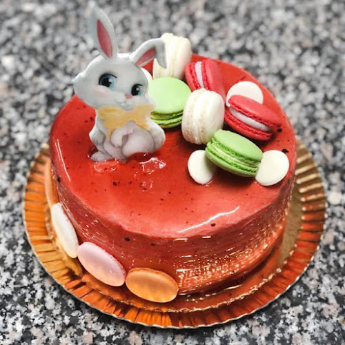 Strada Grigore Alexandrescu 79, Timișoara 300351