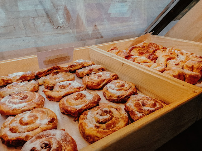 Calea Națională 49, Botoșani