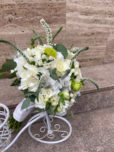 Strada Tache Ionescu 4, Ploiești