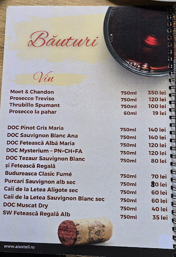 Comentarii opinii despre Alex Tell