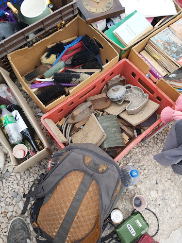 500269, Str. Carpaților 97, Brașov 505600