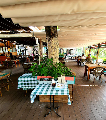 Grădina Bănaţeană