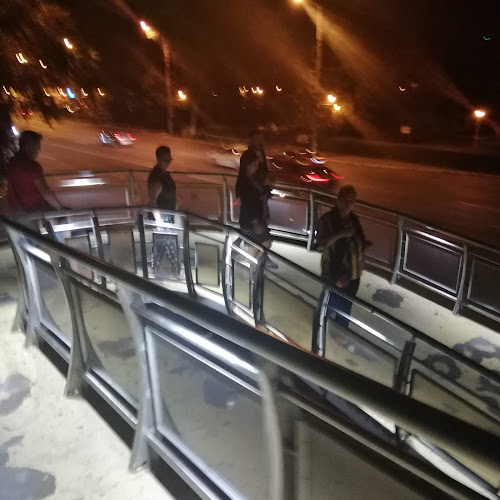 Sabroso Mamaia Cazino - Gastronomie și ospitalitate