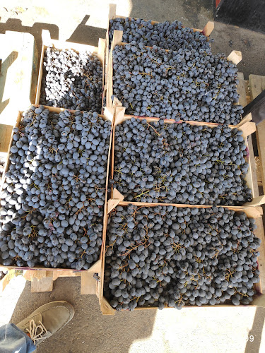 Comentarii opinii despre Piața CUG