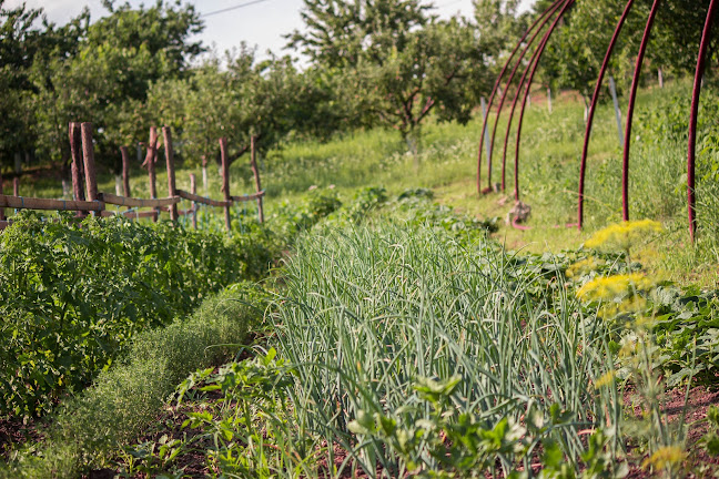 Strada Războieni Nr. 3, Zalău 450166