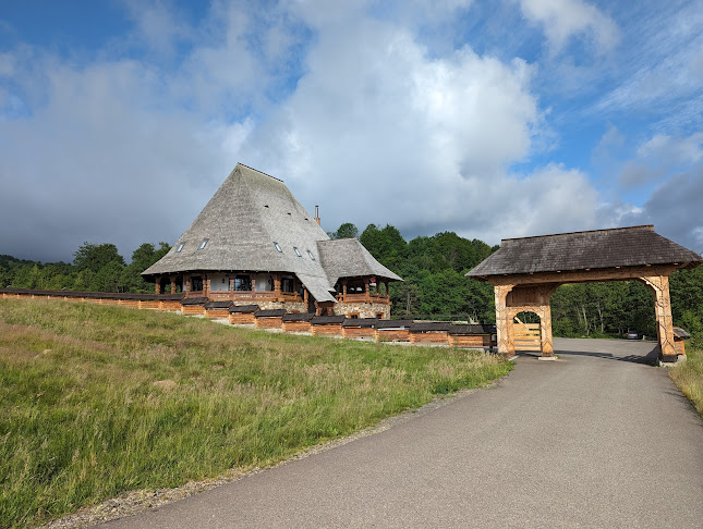 Comentarii opinii despre Hanu Lu Cobâlă