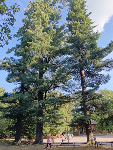 Comentarii opinii despre Restaurant Parc Athos