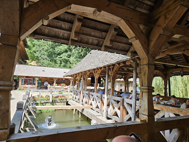 Păstrăvăria Alex - Mara