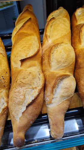 BRUTARIA BUJORENI -BRUTARIA CRISTALULUI - Bragadiru