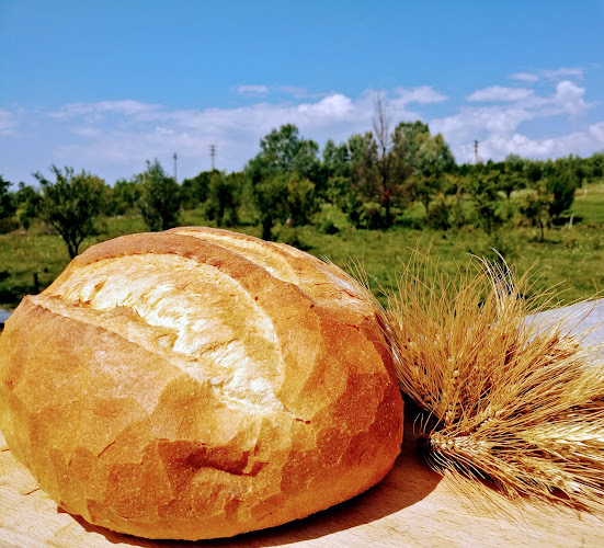 Opinii despre Brutaria Andor Pan în Horezu - Gastronomie și ospitalitate