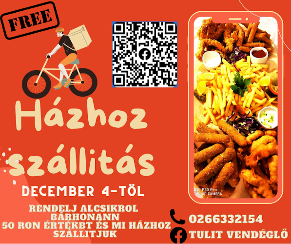 Comentarii opinii despre RESTAURANT--TULIT--VENDÉGLŐ