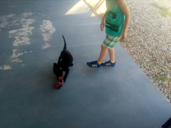 Comentarii opinii despre Întreprindere Montaj Instalații