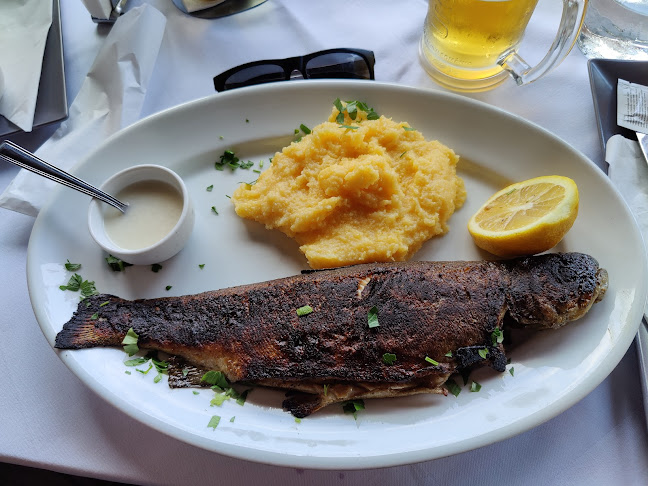 Terasa Cetate Mamaia