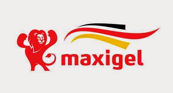 Maxigel - filiala Iasi - Gastronomie și ospitalitate