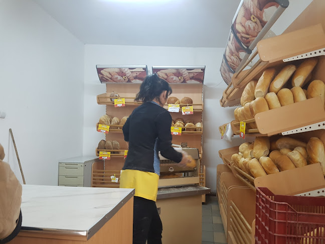 Strada 1 Decembrie 1918 74, Târgu Jiu 210006