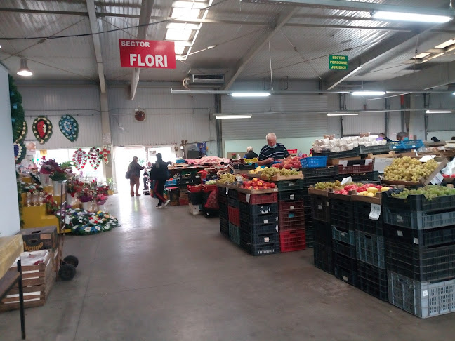 Comentarii opinii despre Piața Fortuna