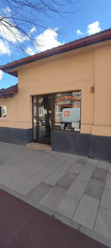 Restaurant Lacto-Vegetarian - Gastronomie și ospitalitate