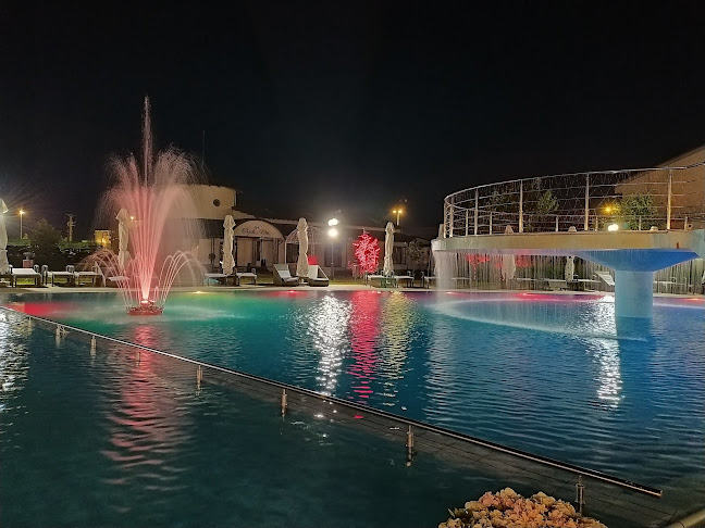 Comentarii opinii despre Papillon Elite