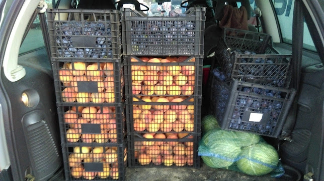 Comentarii opinii despre Târgul Pucheni