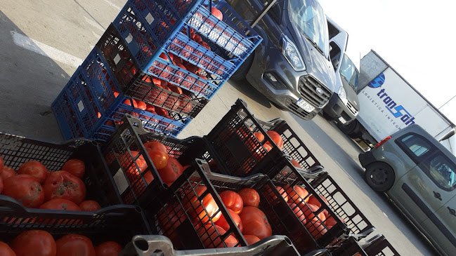 Comentarii opinii despre TARG DE LEGUME, FRUCTE SI FLORI