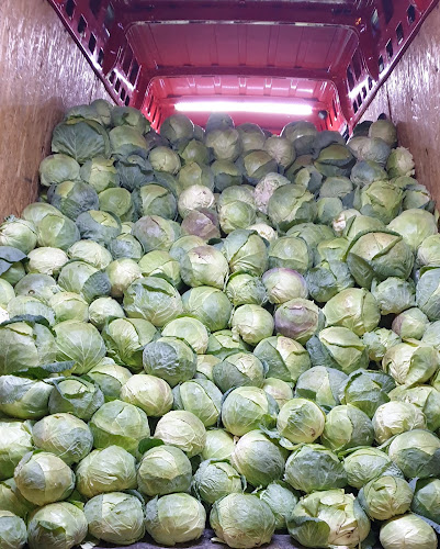 Aprozar Legume - Fructe - Slănic