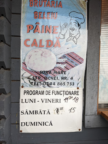 Comentarii opinii despre Brutăria Beleiu