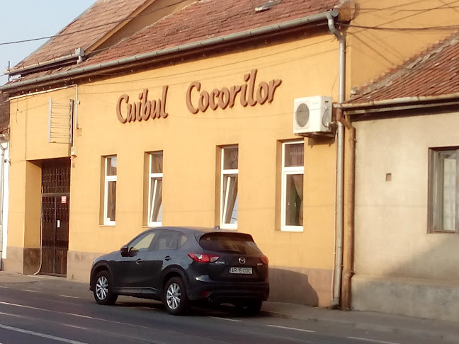 Strada Cocorilor 65, Arad 310426