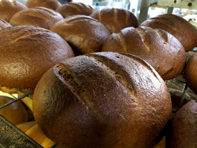 Comentarii opinii despre LARISCH EXIM S.R.L.