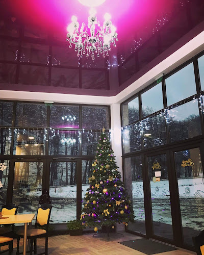 Restaurant Maya's Events 3*** - Baia Sprie