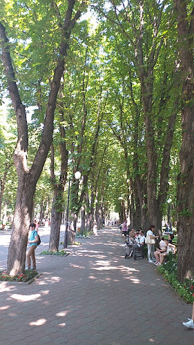 Comentarii opinii despre Casa Vânătorului