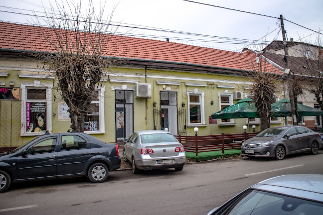 Strada Corvinilor 28, Satu Mare 447230