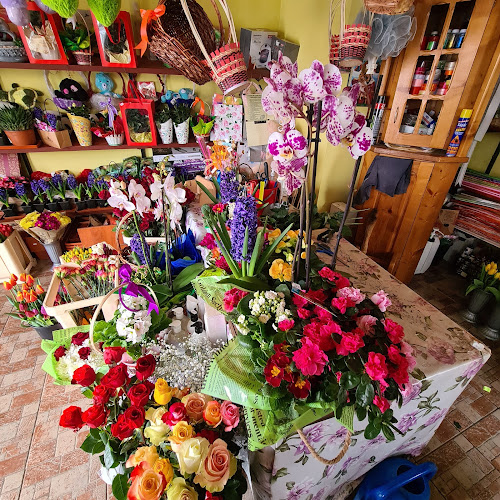 Florăria Tao-Tao - Gastronomie și ospitalitate