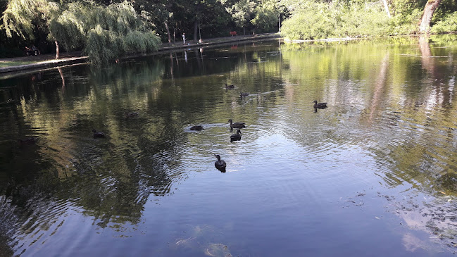 New Generation - Buzău