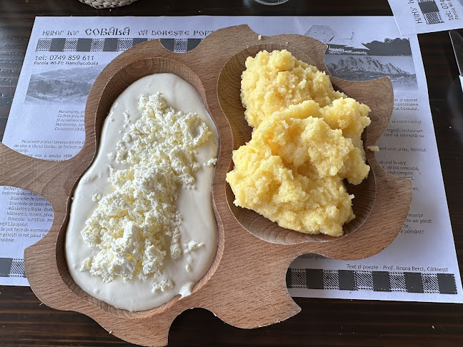 Opinii despre Hanu Lu Cobâlă în Budești - Gastronomie și ospitalitate