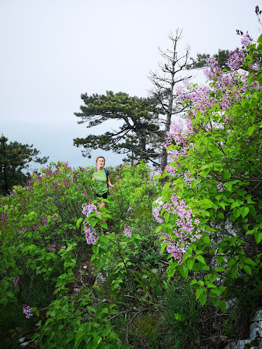 Piața agroalimentară - Gastronomie și ospitalitate