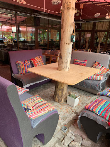 Pizzeria Cipi-Cipi - Gastronomie și ospitalitate