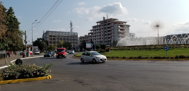 Comentarii opinii despre Sicopan