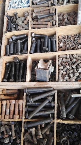 Târgul Municipal Zilnic