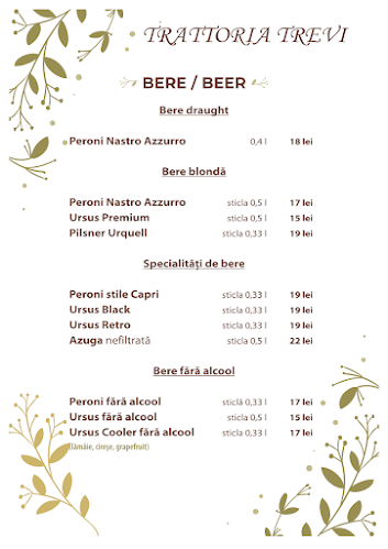 Comentarii opinii despre Trattoria Trevi