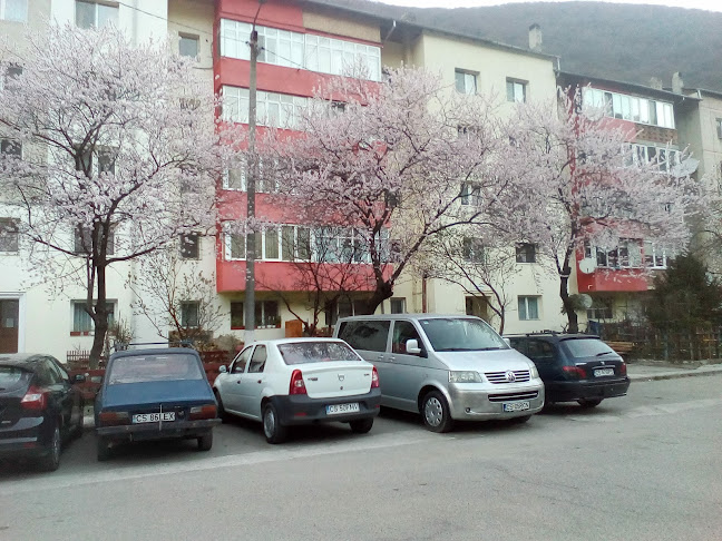 Piața agroalimentară - Băile Herculane