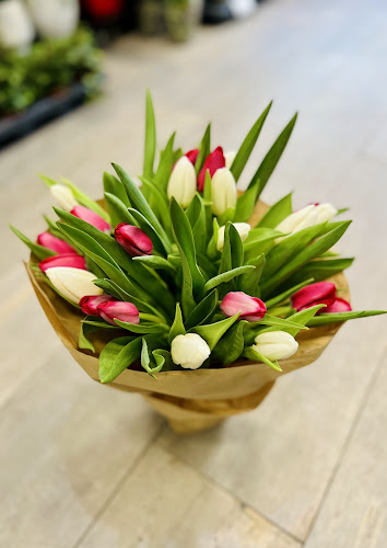 Strada Mihai Viteazul 62, Râmnicu Vâlcea 240602