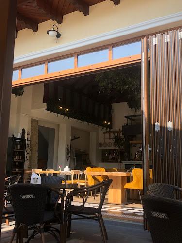 Comentarii opinii despre Venezia