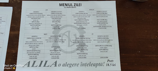 Opinii despre Pizzeria Alila în Iași - Gastronomie și ospitalitate