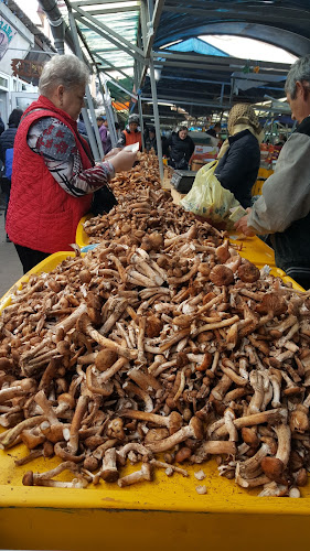 Comentarii opinii despre Piața Mică