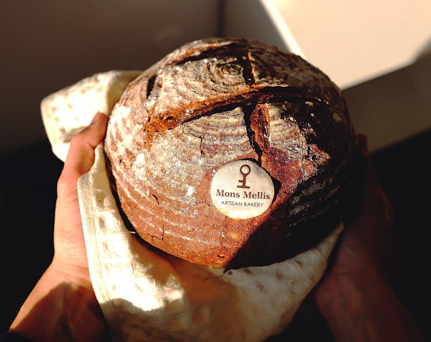 Mons Mellis - Satu Mare