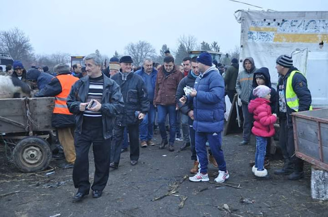 DC112 309, Melinești