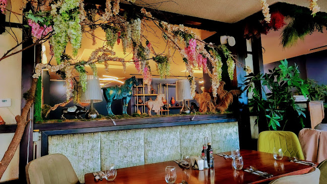 Comentarii opinii despre Oscar