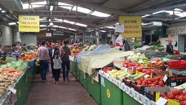 Opinii despre Piața Agroalimentară Berceni-Olteniței în București - Gastronomie și ospitalitate